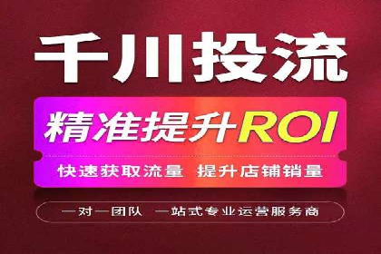 某电商平台SEM竞价广告的转化率提升案例